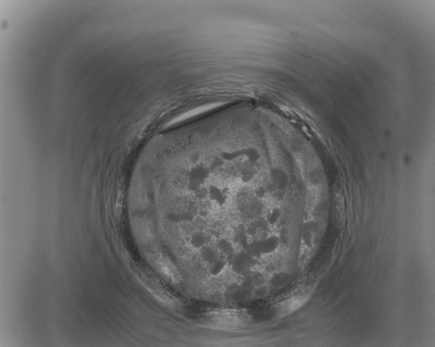 X0000080680499200612301428