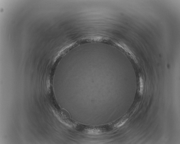 X0000080680500200612301428