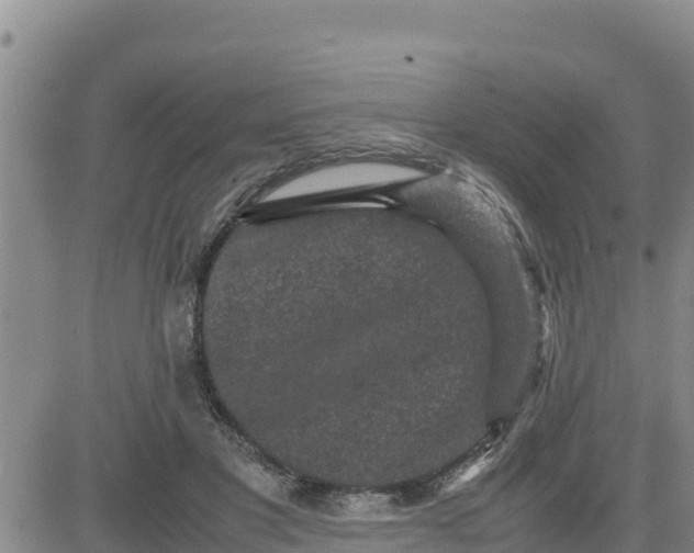 X0000080680501200612301428