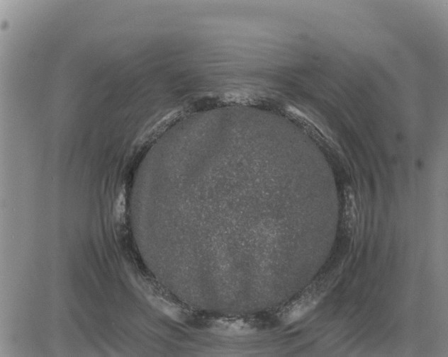 X0000080680502200612301428