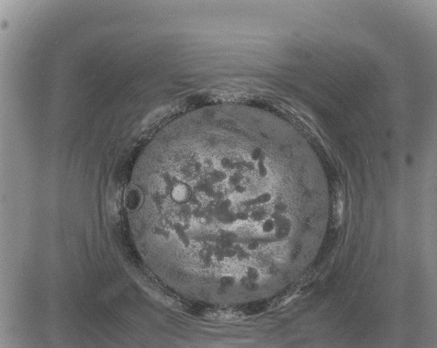 X0000080680503200612301428