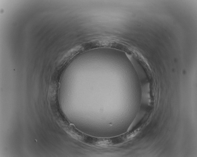 X0000080680505200612301428