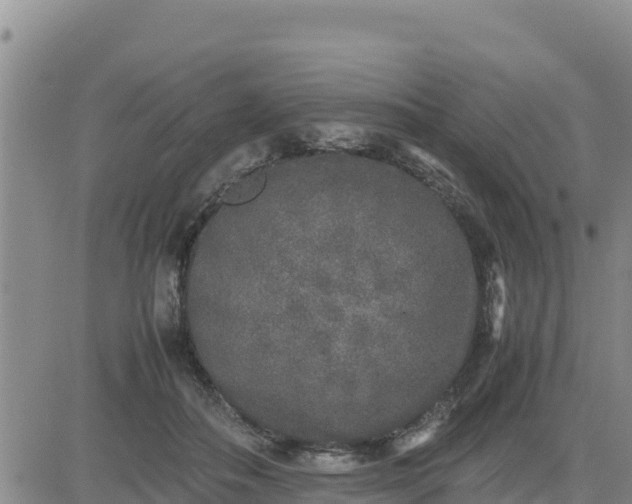 X0000080680506200612301428