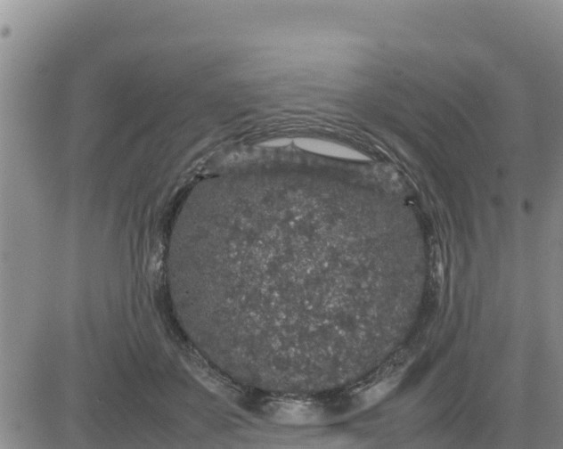 X0000080680507200612301428