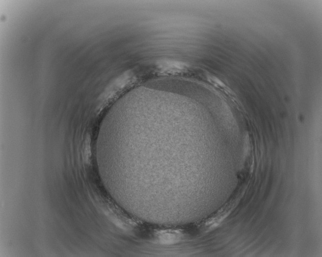 X0000080680508200612301428