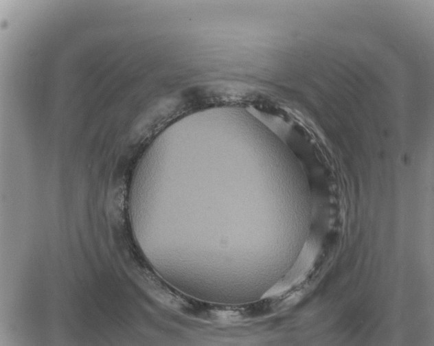 X0000080680509200612301428