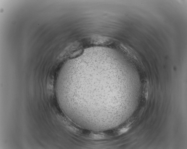 X0000080680510200612301428