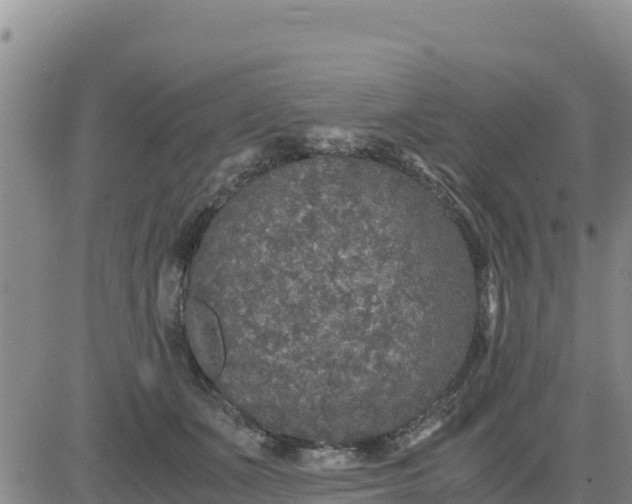 X0000080680511200612301428