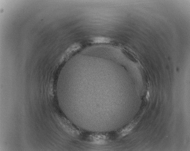 X0000080680512200612301428