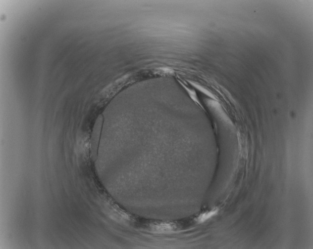 X0000080680513200612301428