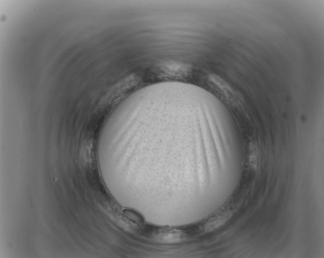 X0000080680514200612301428