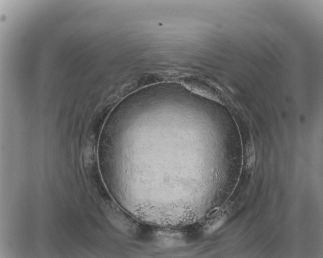 X0000080680515200612301428