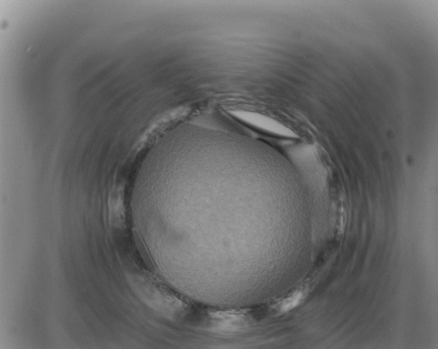 X0000080680516200612301428