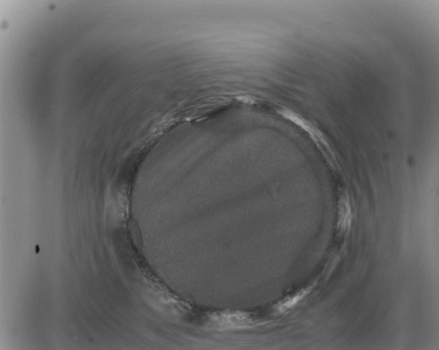 X0000080680517200612301428