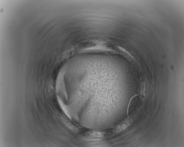 X0000080680518200612301428