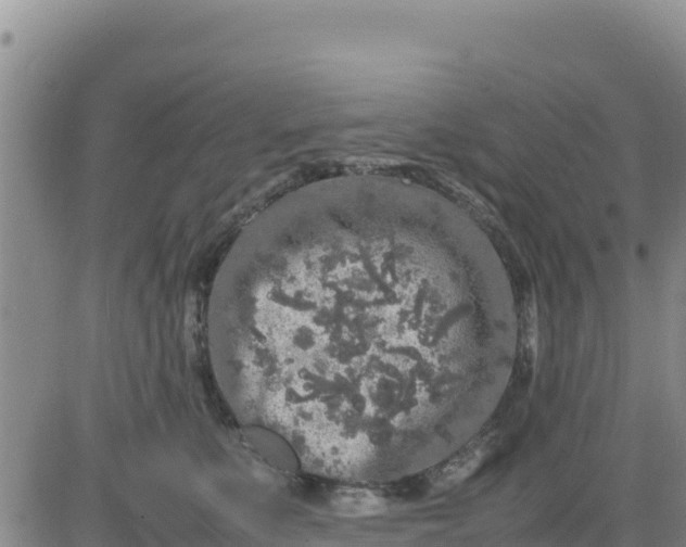 X0000080680519200612301428