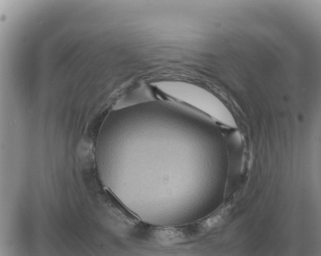 X0000080680521200612301428