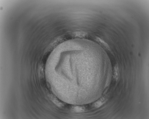 X0000080680522200612301428