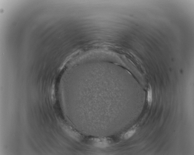 X0000080680524200612301428