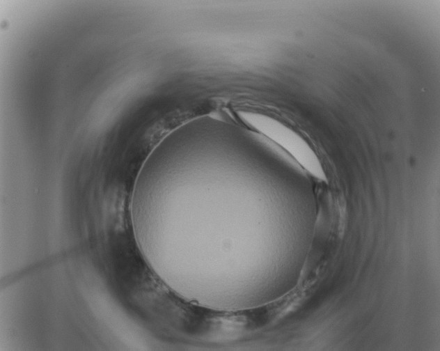 X0000080680525200612301428