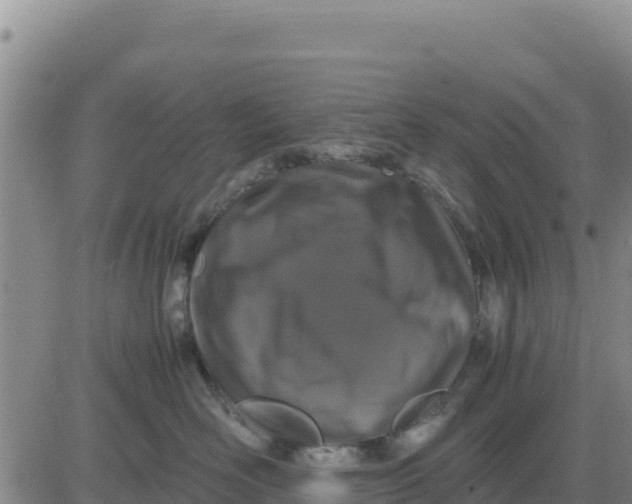 X0000080680526200612301428