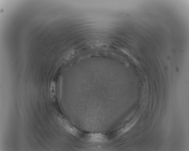 X0000080680528200612301428