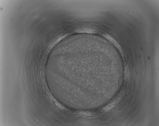 X0000080680529200612301427