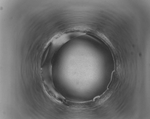 X0000080680530200612301427