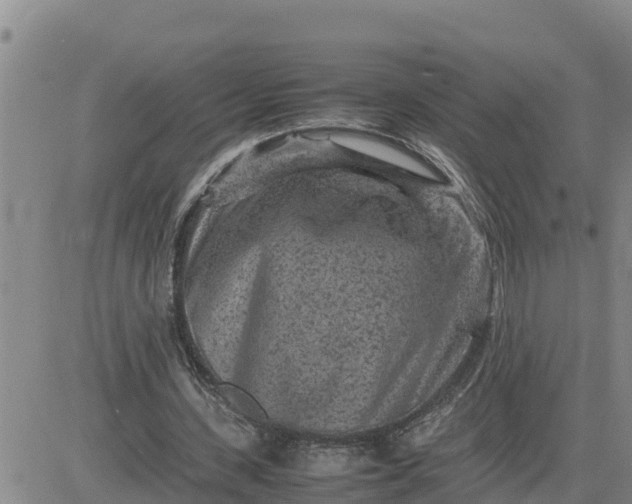 X0000080680531200612301427