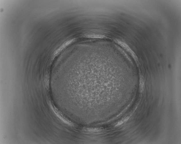 X0000080680533200612301427