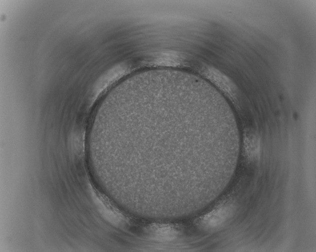 X0000080680534200612301427