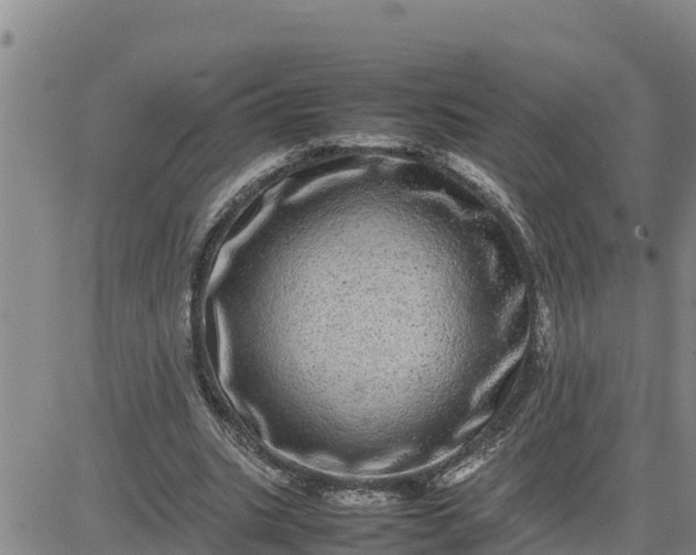 X0000080680535200612301427