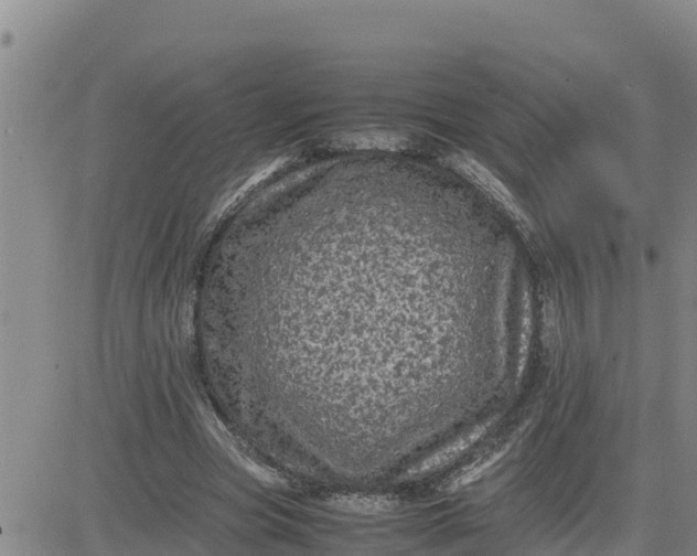 X0000080680537200612301427