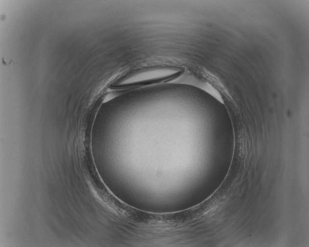 X0000080680538200612301427