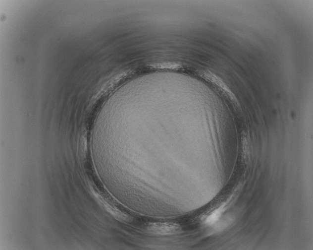 X0000080680541200612301427