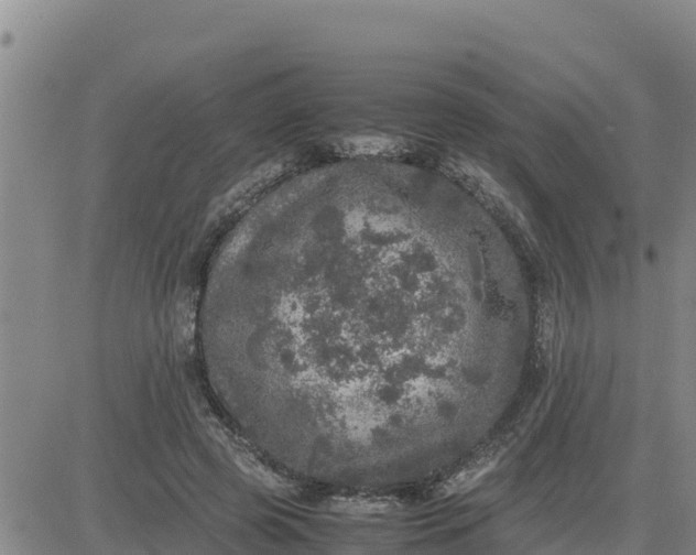 X0000080680545200612301427