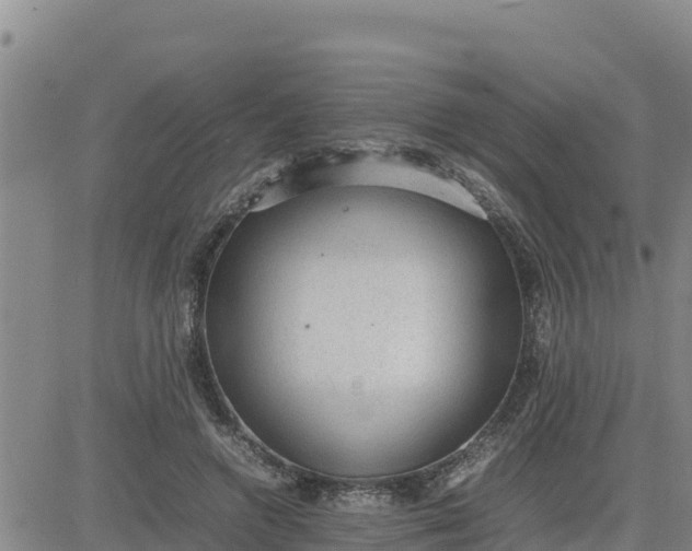 X0000080680546200612301427