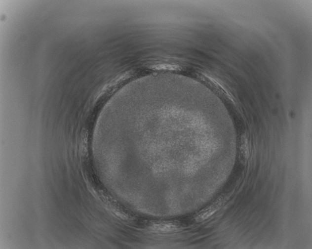 X0000080680547200612301427