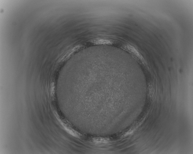 X0000080680549200612301427