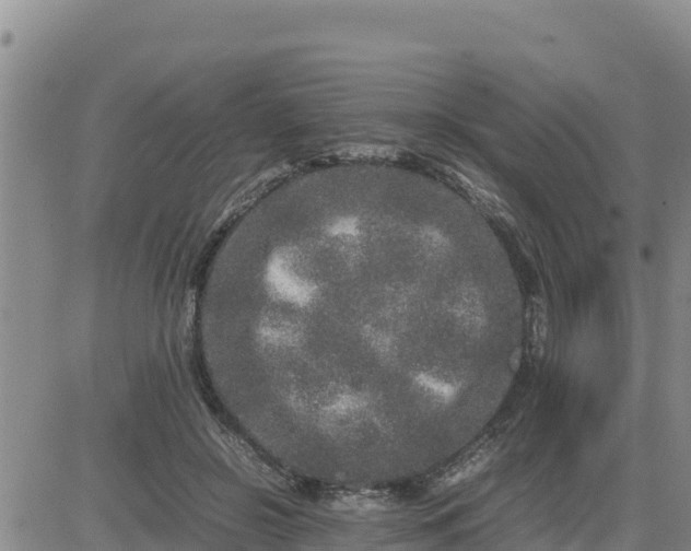 X0000080680550200612301427