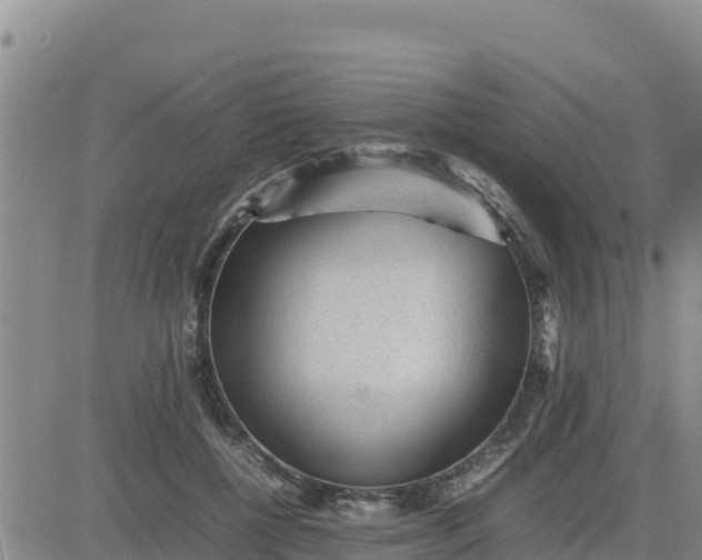 X0000080680552200612301427