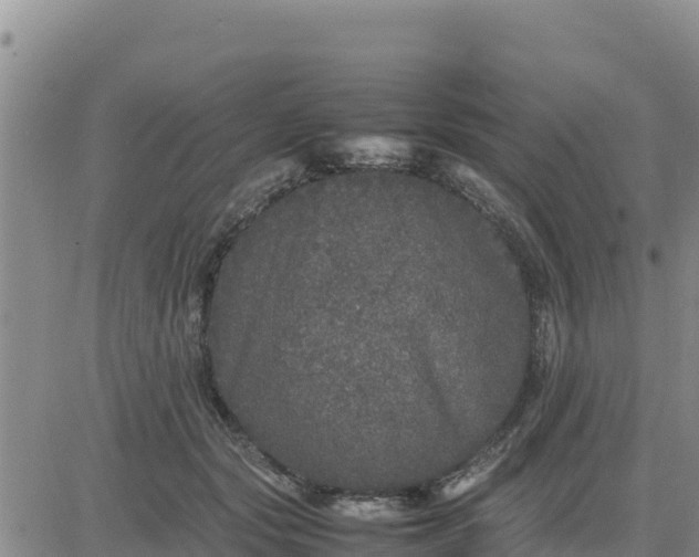 X0000080680557200612301427