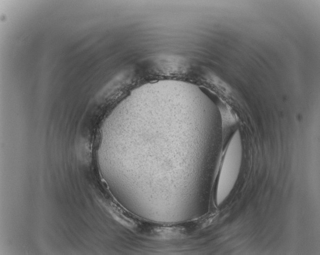 X0000080680558200612301427