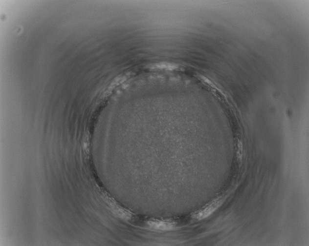 X0000080680561200612301427