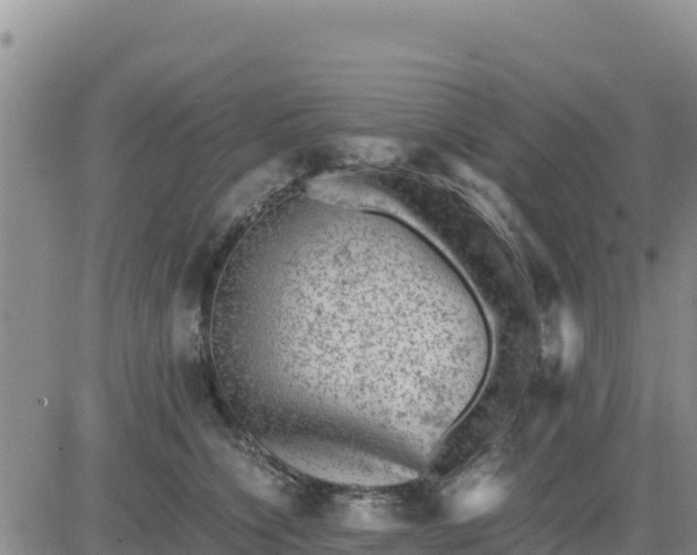 X0000080680564200612301427