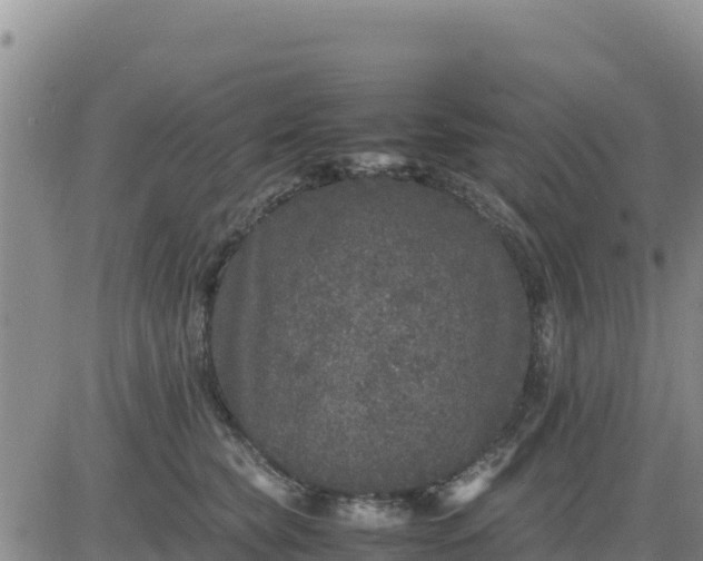 X0000080680565200612301427