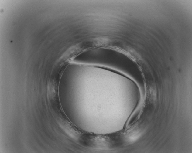 X0000080680566200612301427