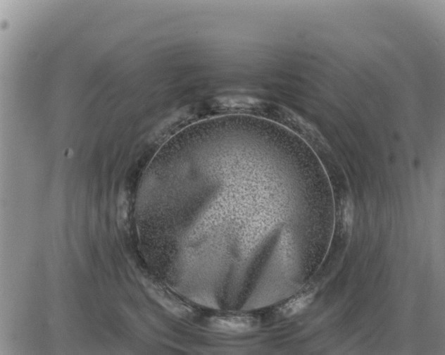 X0000080680567200612301427