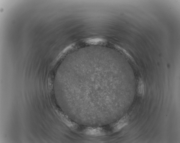 X0000080680569200612301427