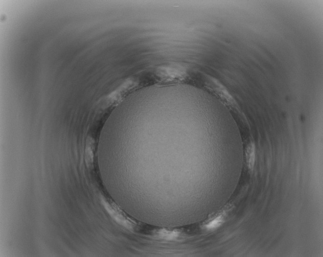 X0000080680570200612301428